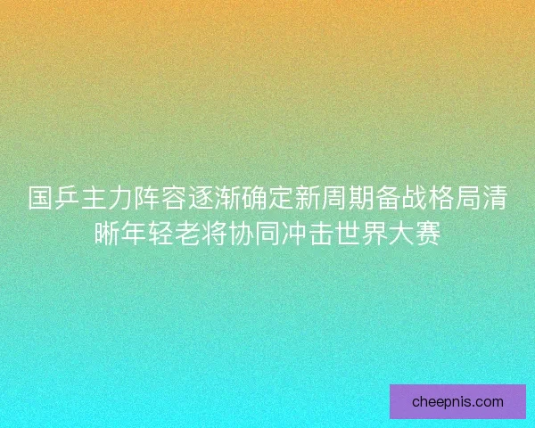 国乒主力阵容逐渐确定新周期备战格局清晰年轻老将协同冲击世界大赛